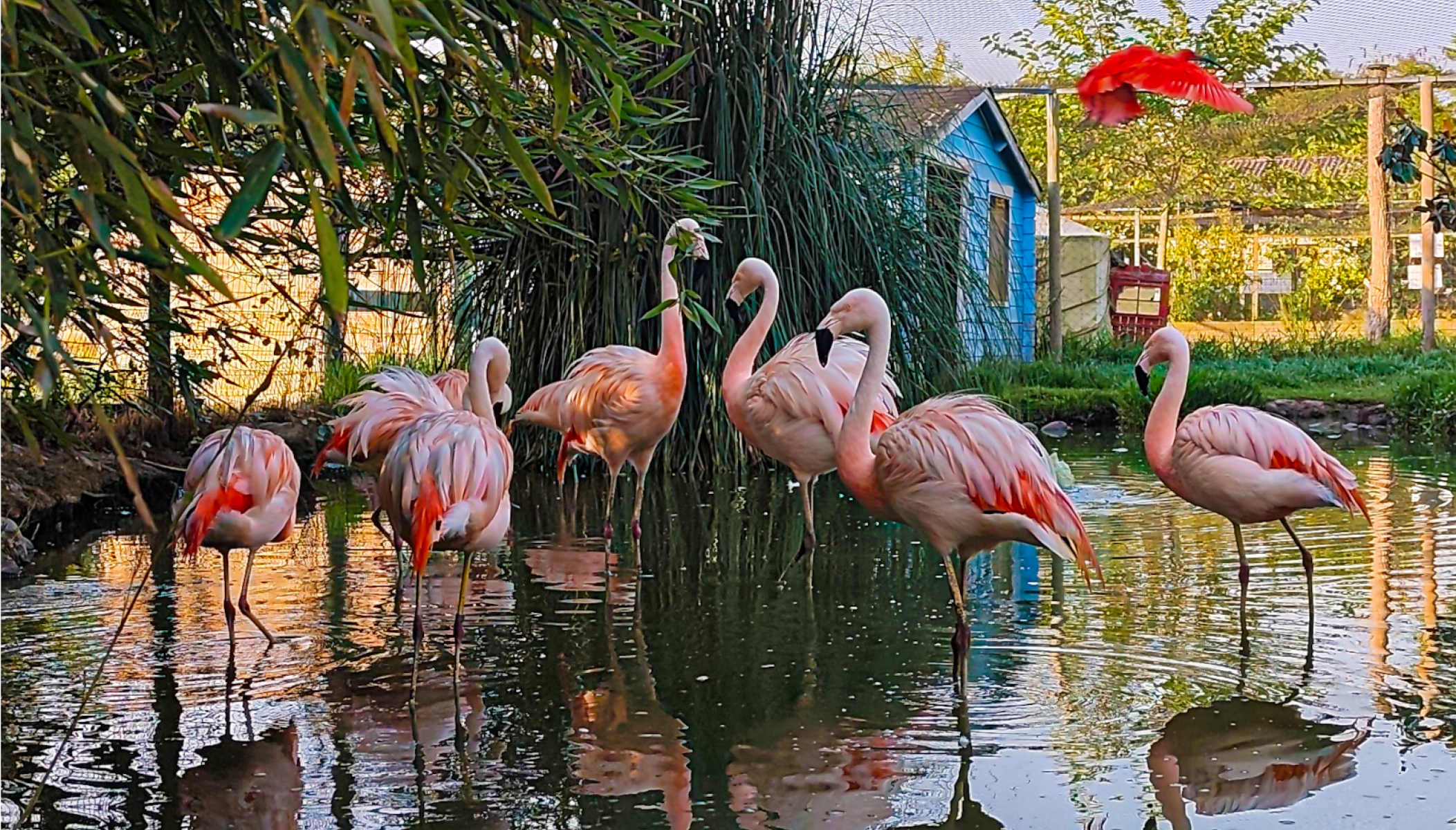 Exotic Park, une aventure zoologique à vivre en famille près de Pau