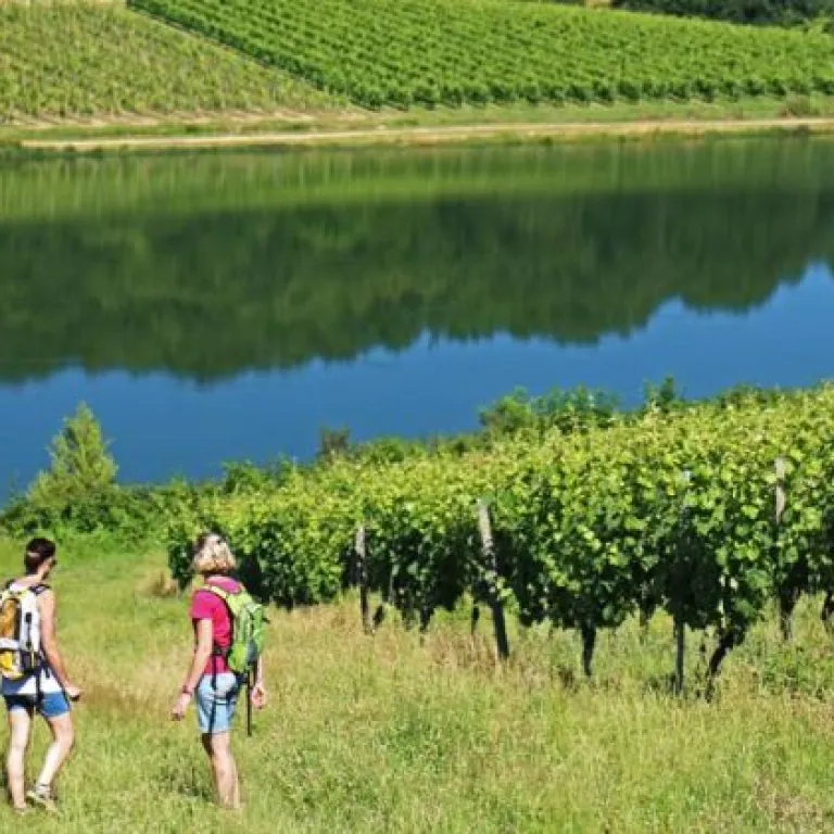 4 good reasons to go on holiday in the Vic Bil ...