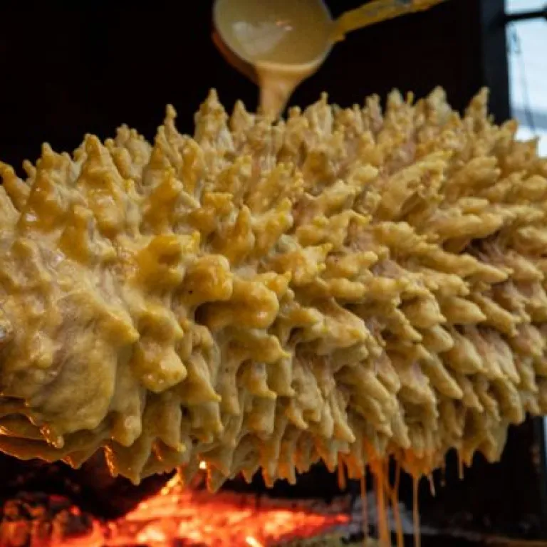 Spit cake, a culinary specialty of the mountains
