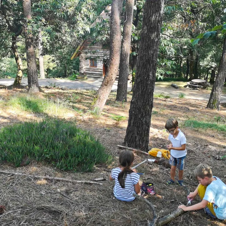 Top activities with children in Béarn