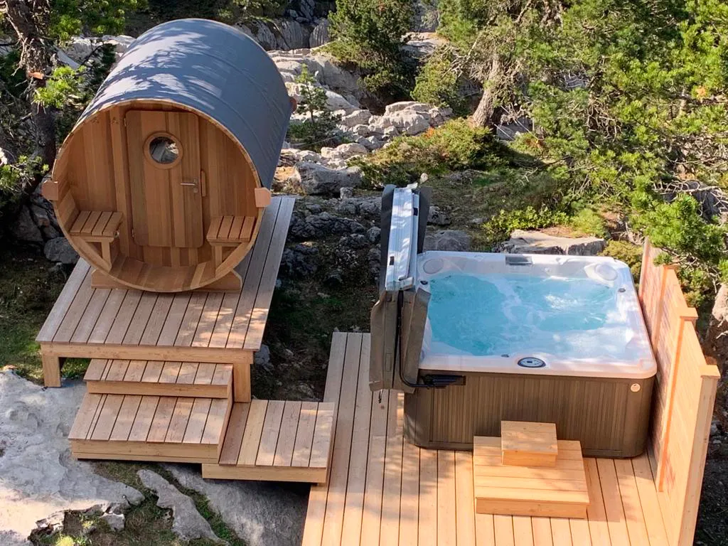 chalet lepiaz