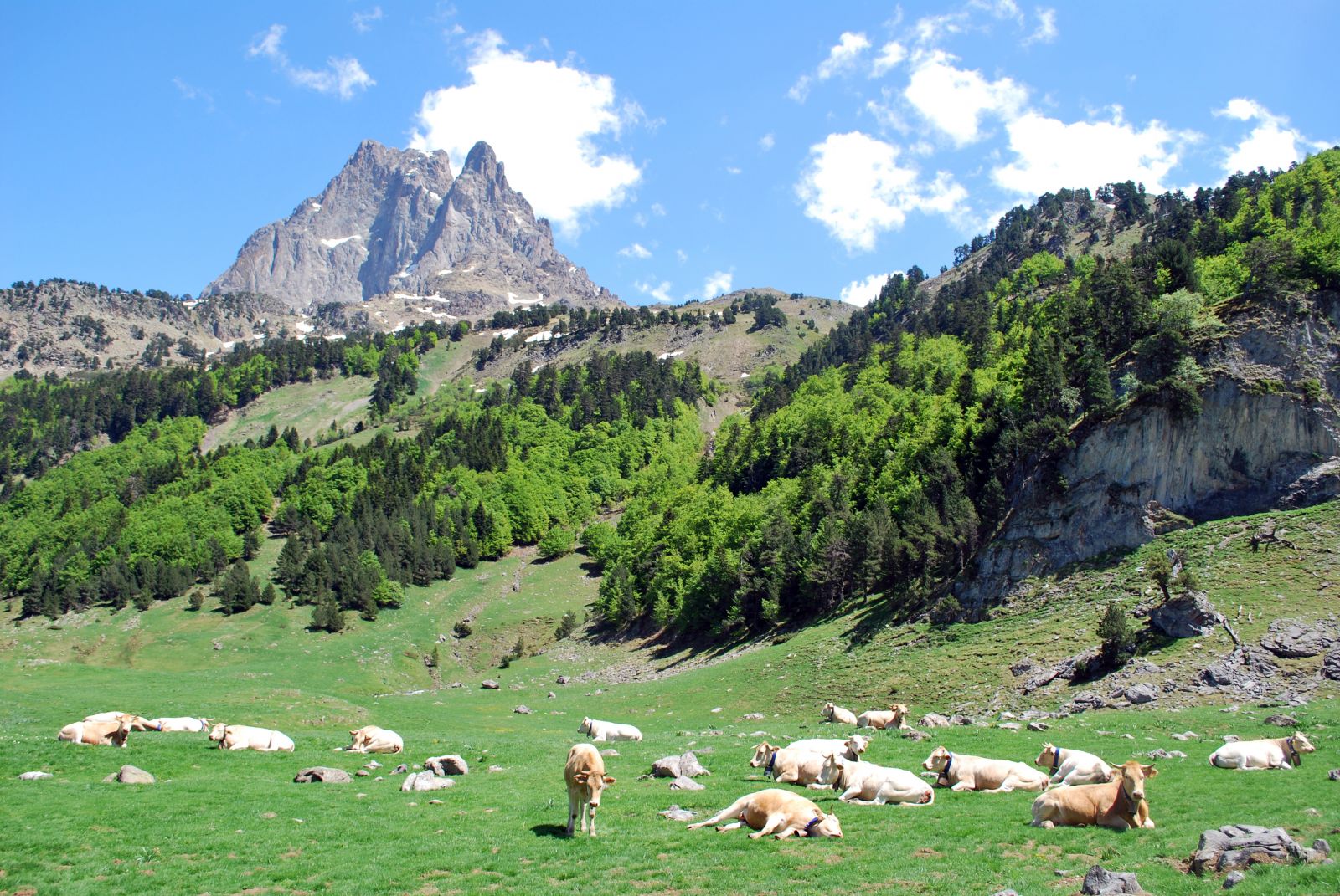 culinary specialties of Béarn