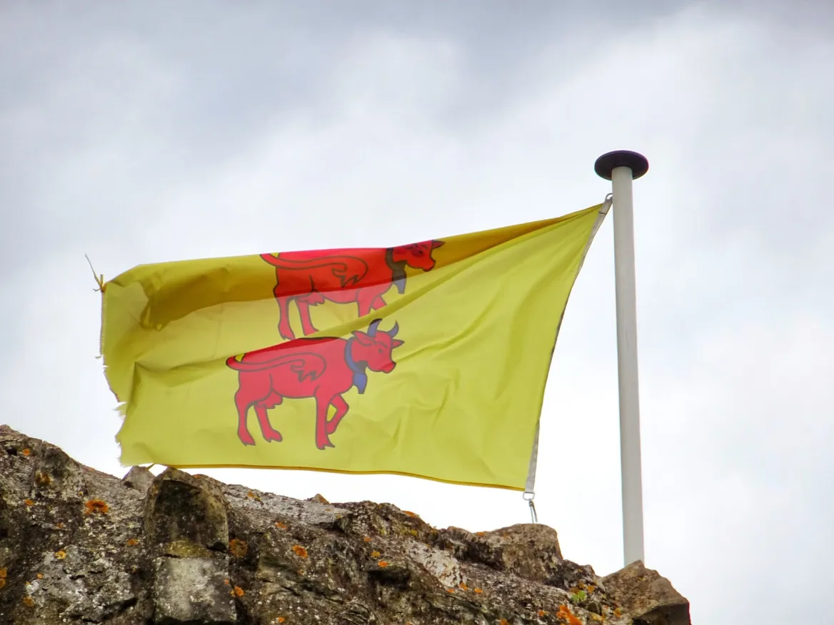 bearn flag