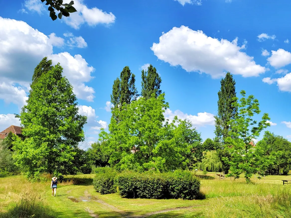nature