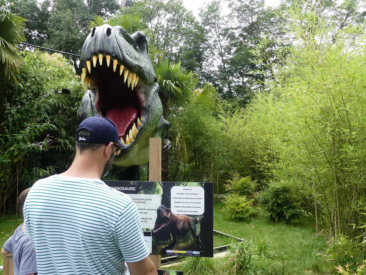 Dinosaures