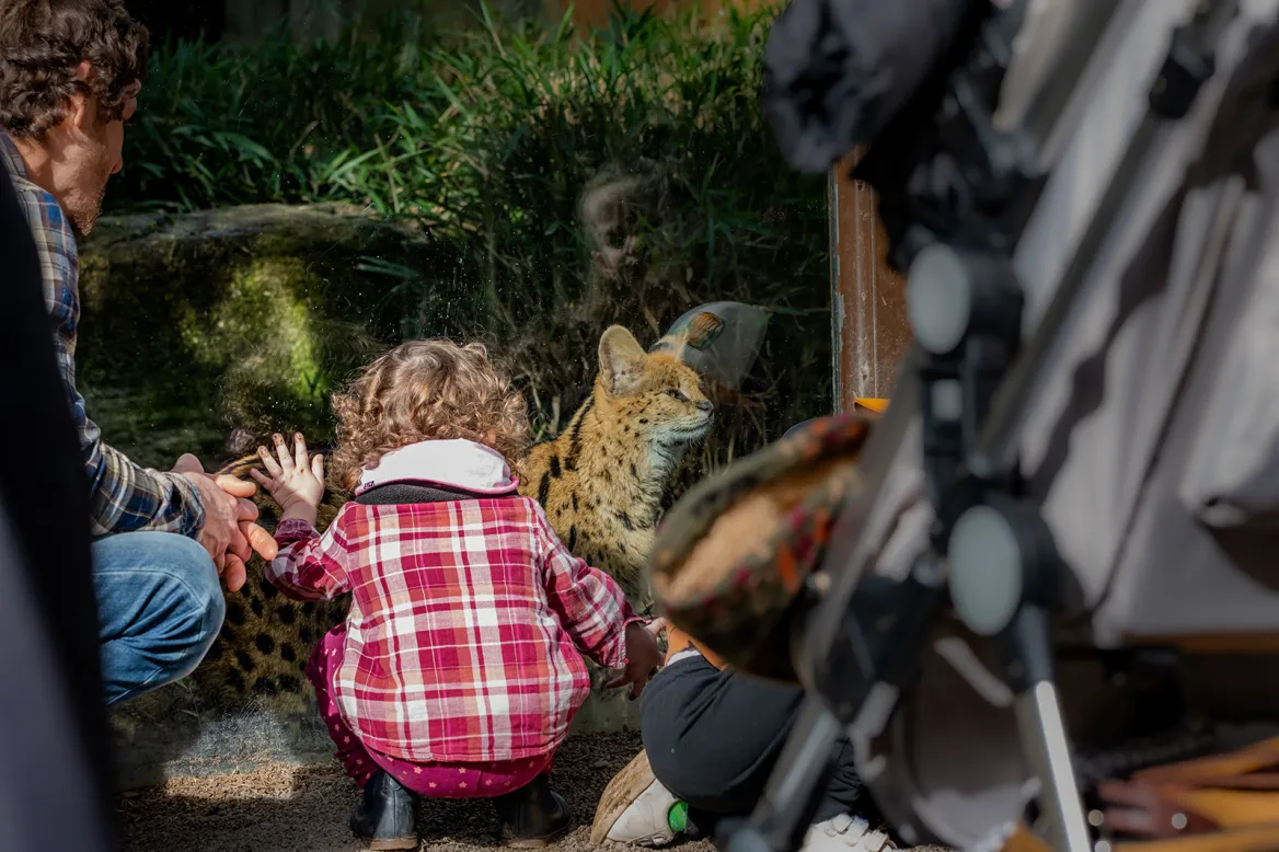 zoo d'Asson