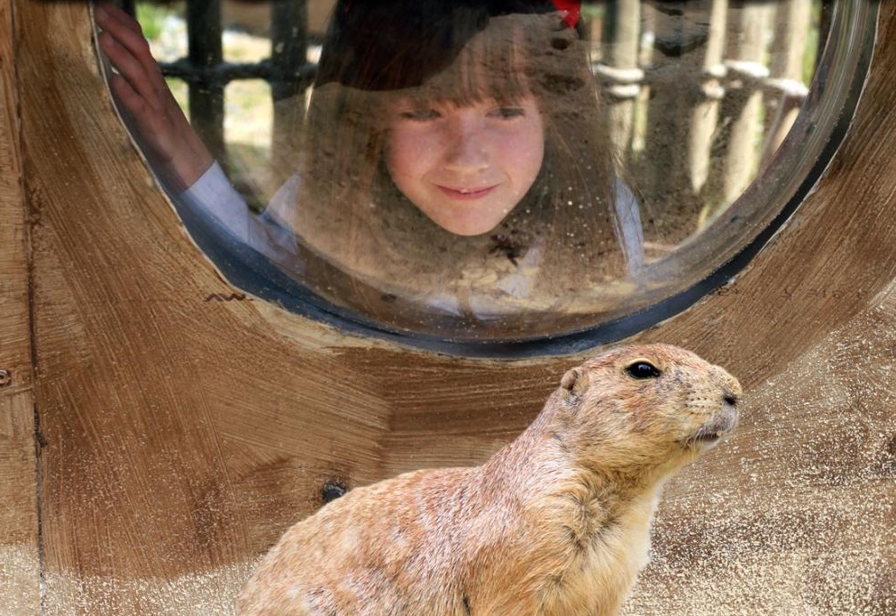 Zoo d'Asson