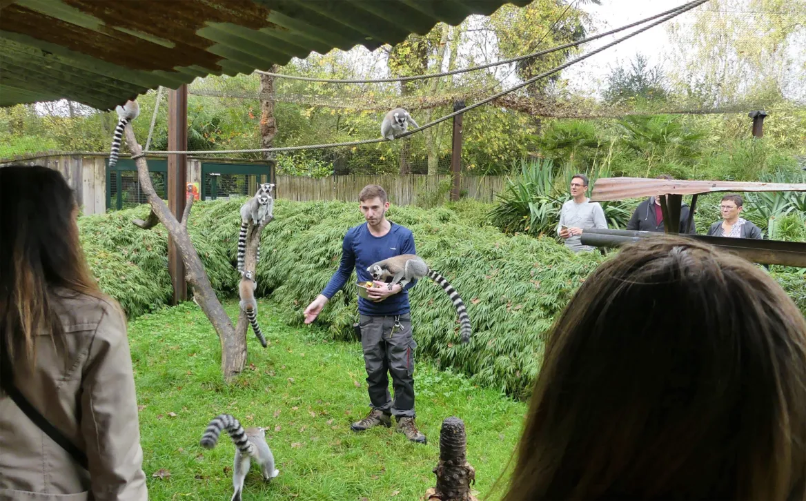 Asson Zoo