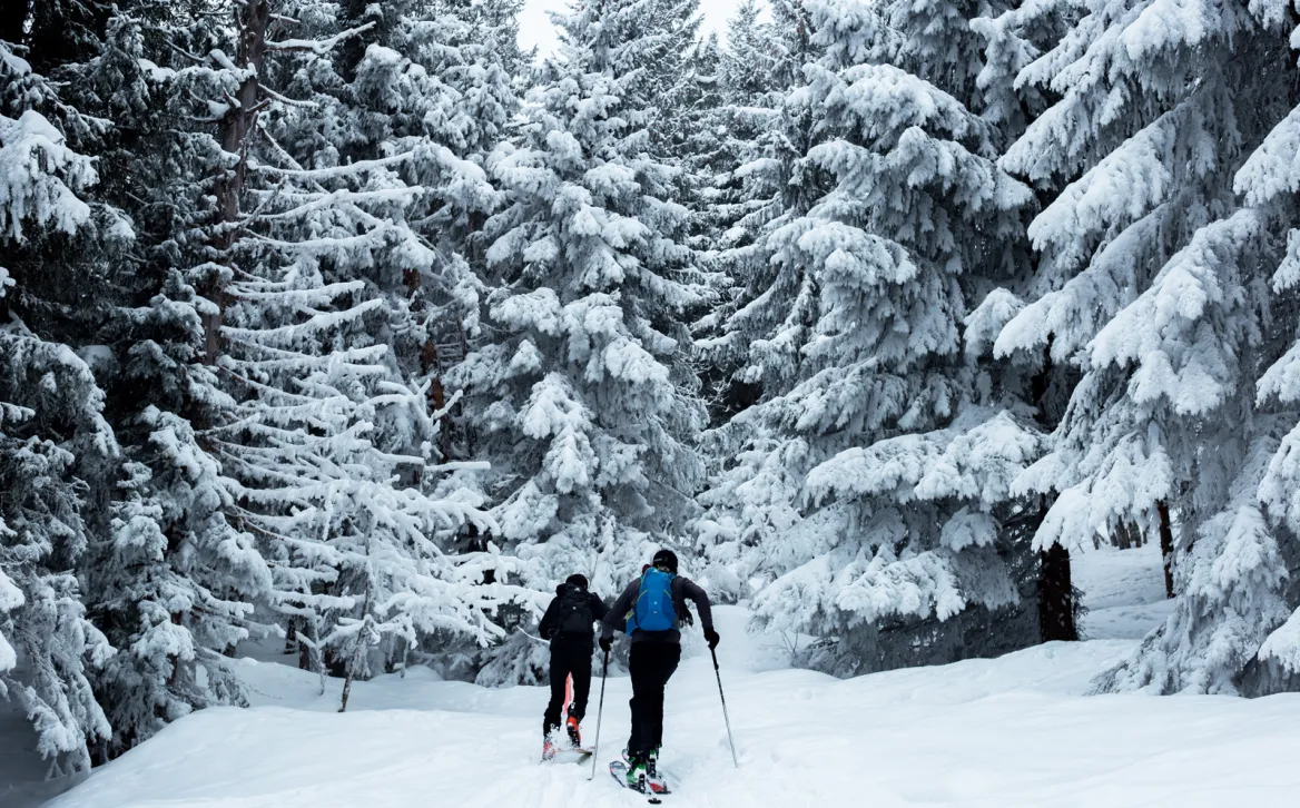 Cross-country skiing in Béarn Photo: Victoire Joncheray Unsplash