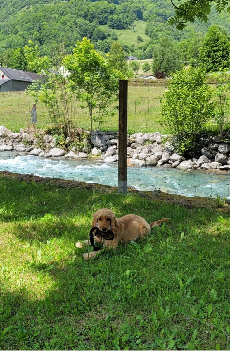 hiking with Choen Pyrenees