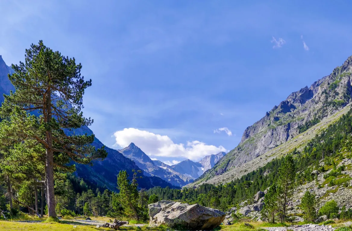 Hiking with your dog in the Pyrenees