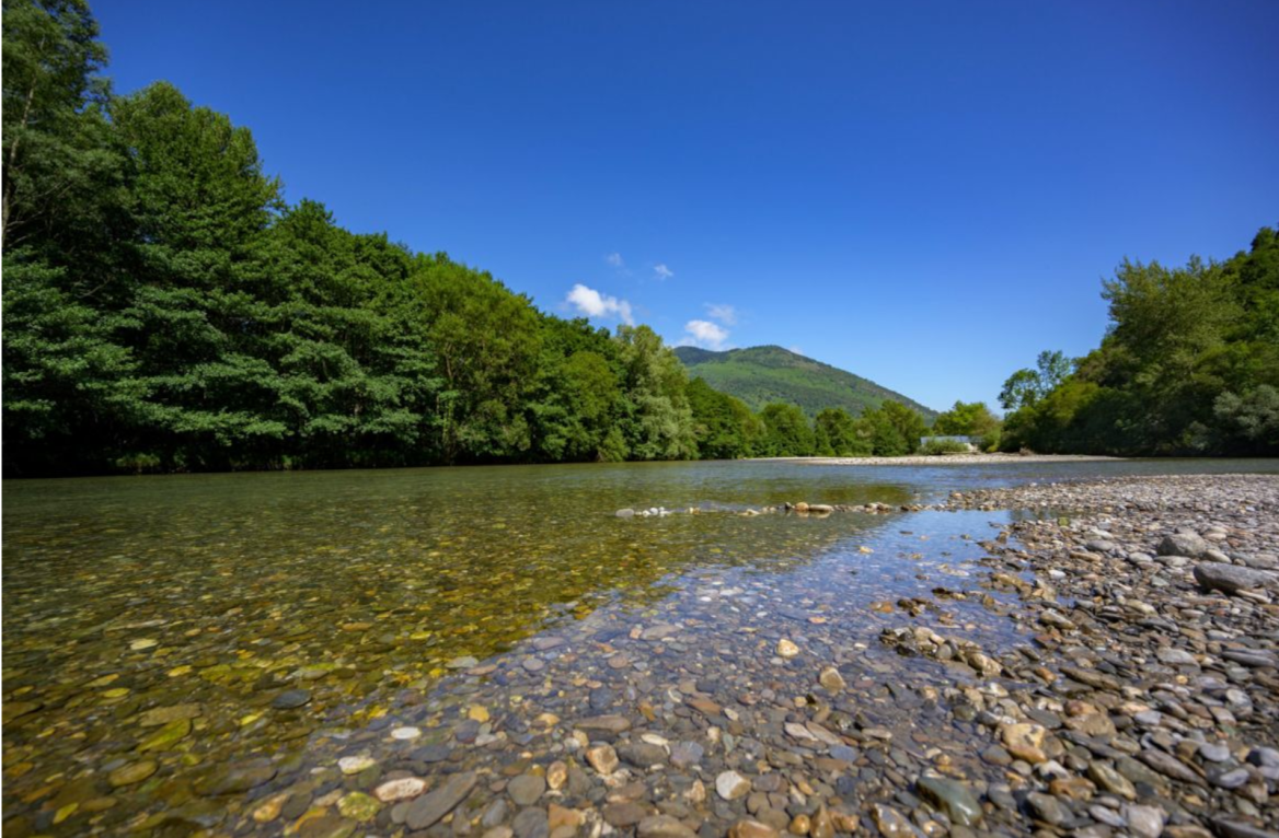 Hiking with your dog in the Pyrenees
