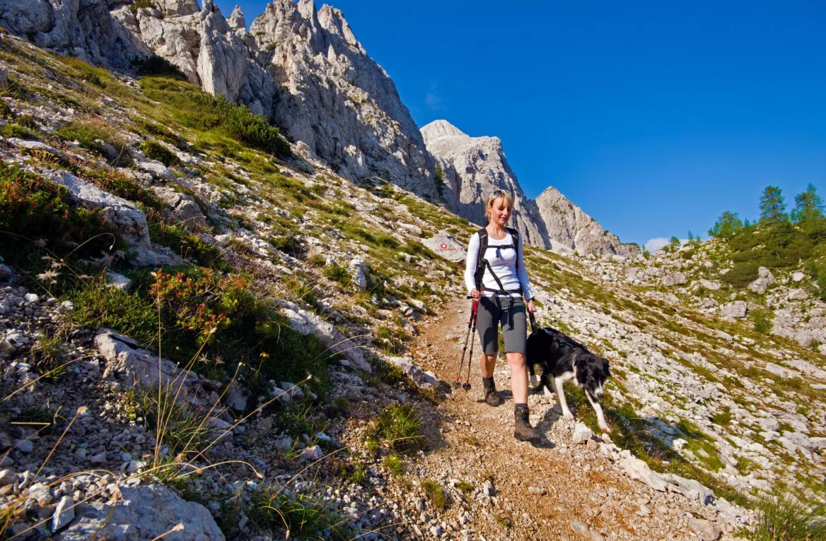Hiking with your dog in the Pyrenees
