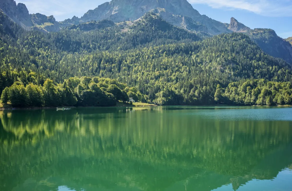 Hiking with your dog in the Pyrenees