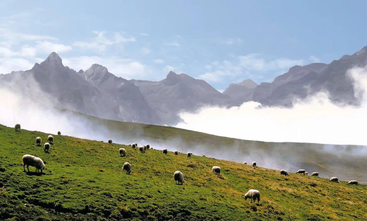 aubisque pass