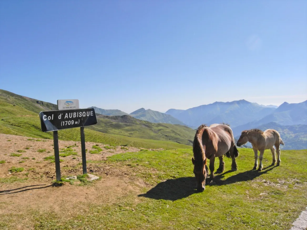 aubisque pass