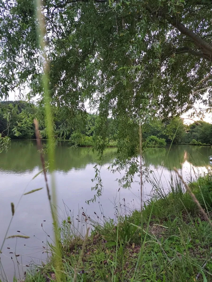 base de loisirs du faget