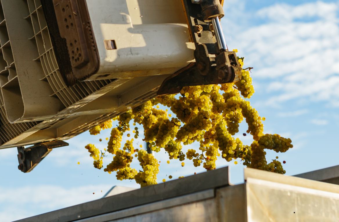 vignobles du bearn