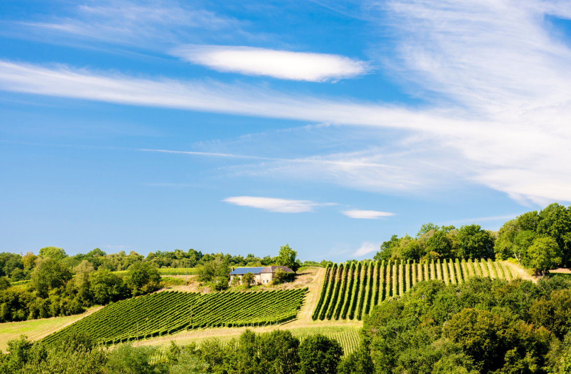 vignobles du bearn