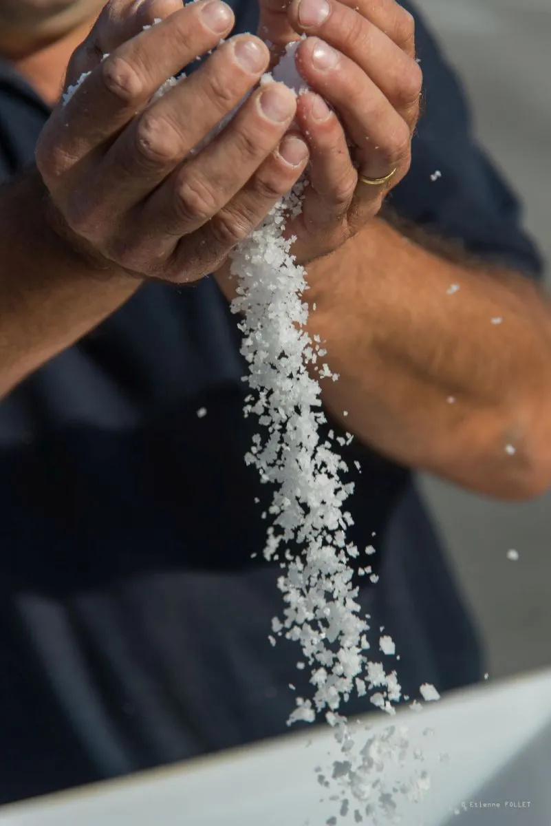 Salie salt