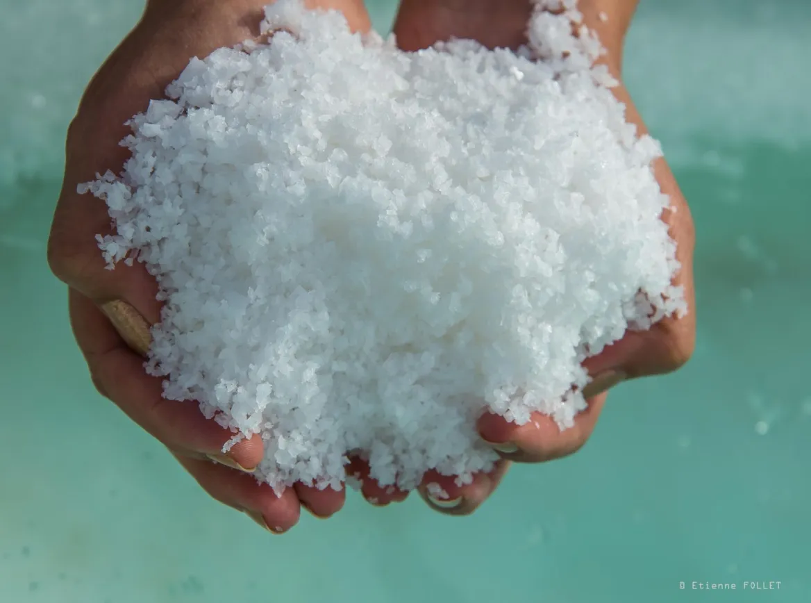 Salies salt