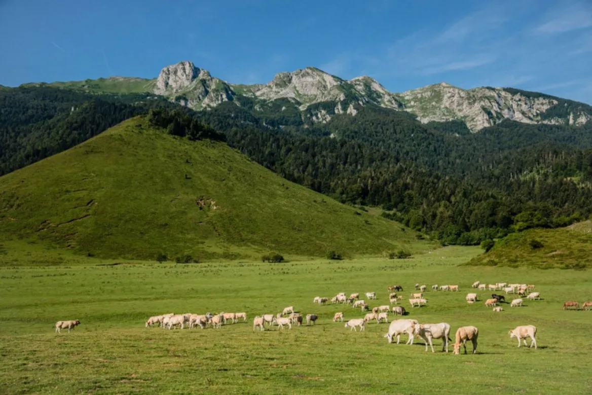 Ossau Valley with the family