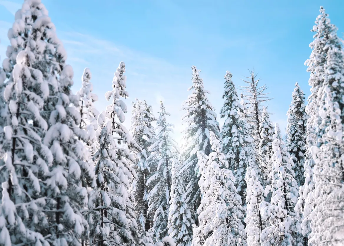 neige-Stanley-Dai-Unsplash