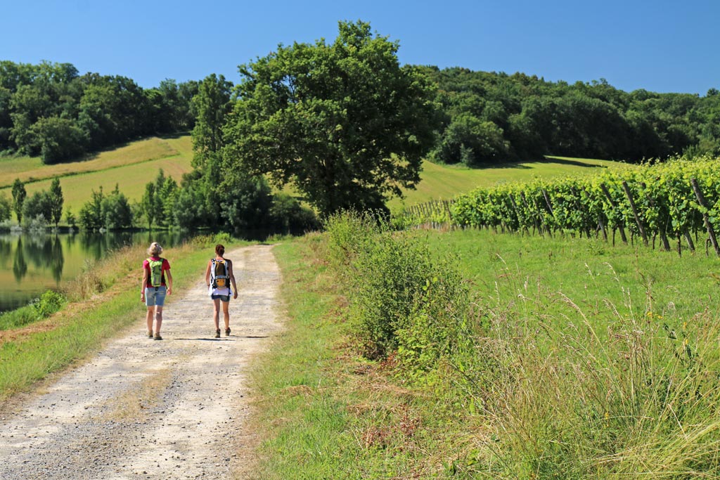 Randonnées dans les vignes