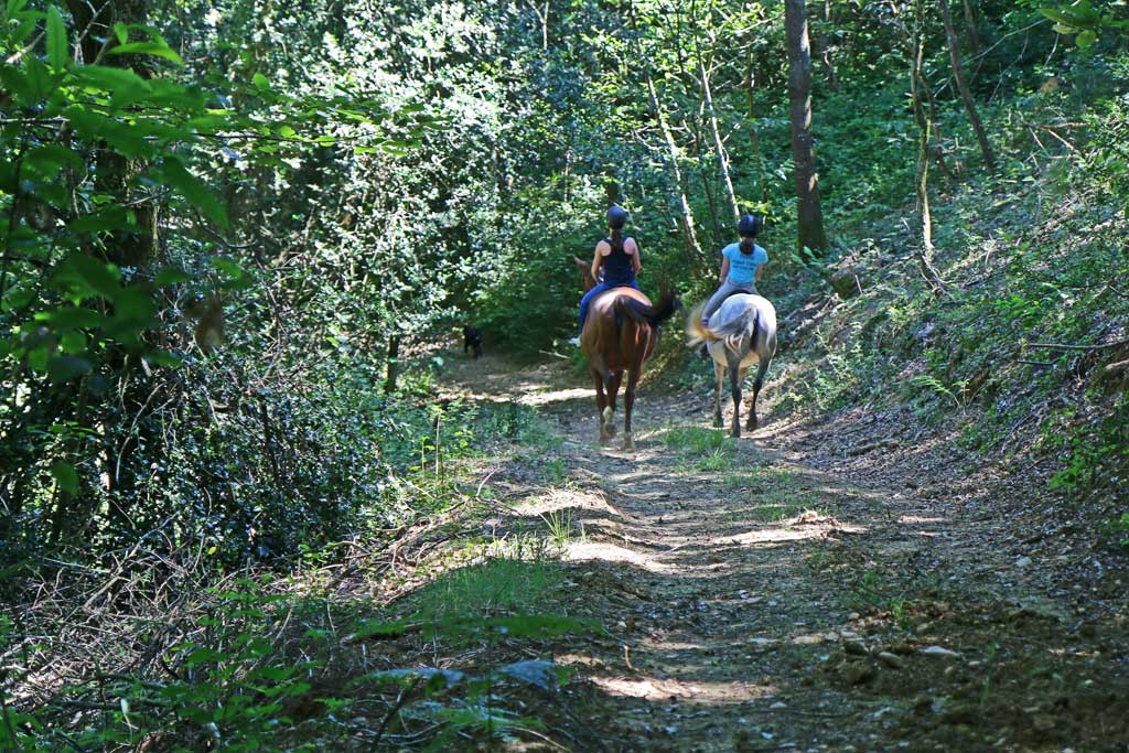 Balades équestres dans les chemins du Vic-Bilh