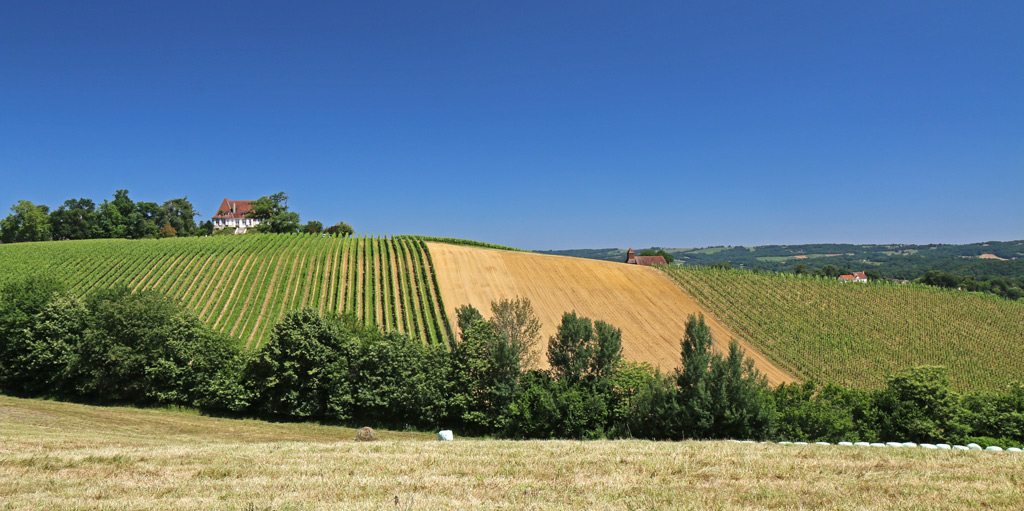 La beauté des régions viticoles