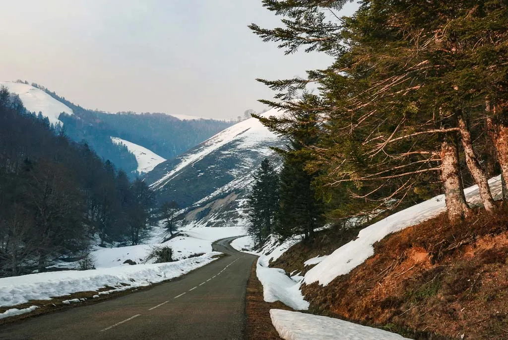 Route vers la Pierre Saint Martin