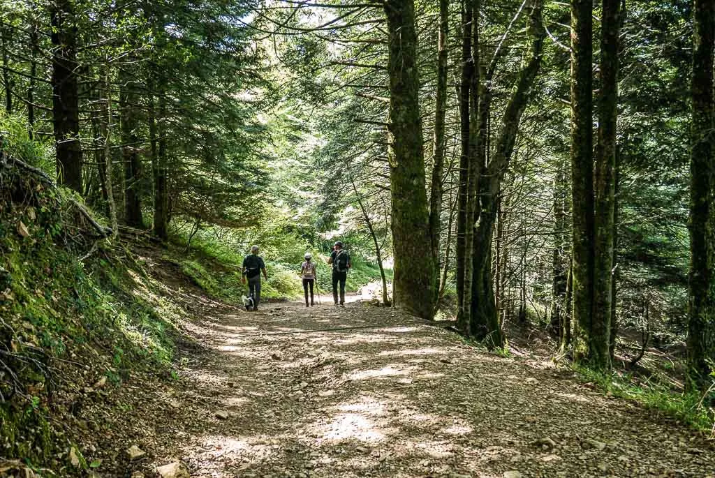 Pic d'Escurets Hiking