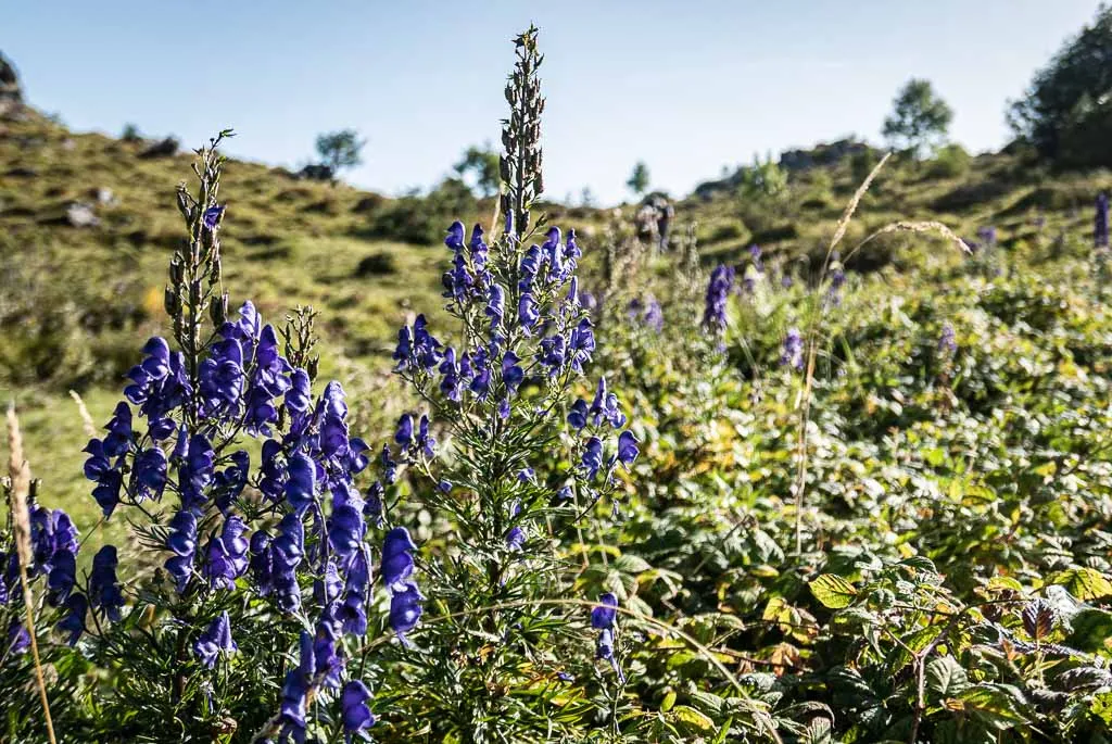 Pic d'Escurets Hiking