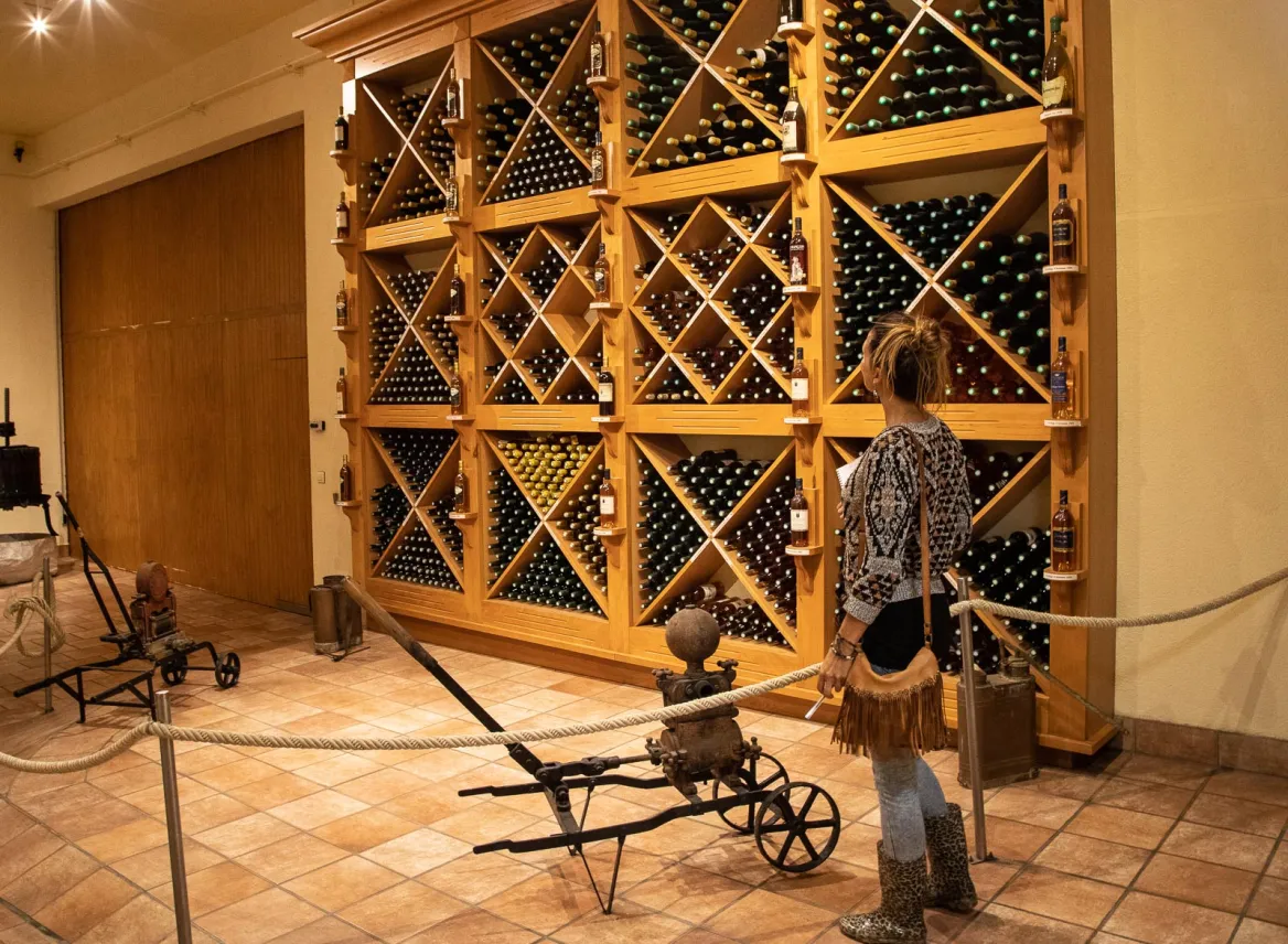 Jurançon vineyard and wines