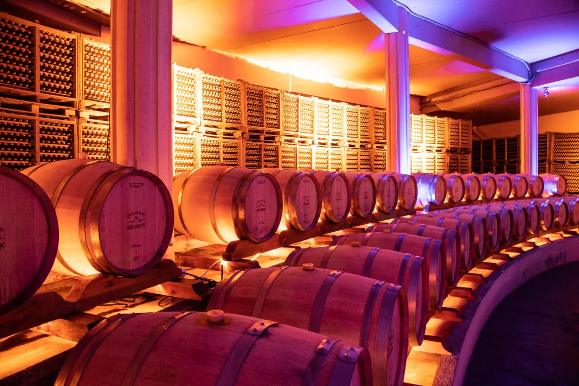 Jurançon vineyard and wines