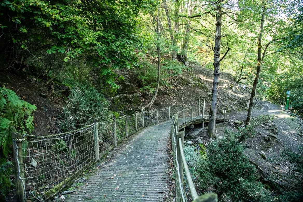 Parc'Ours