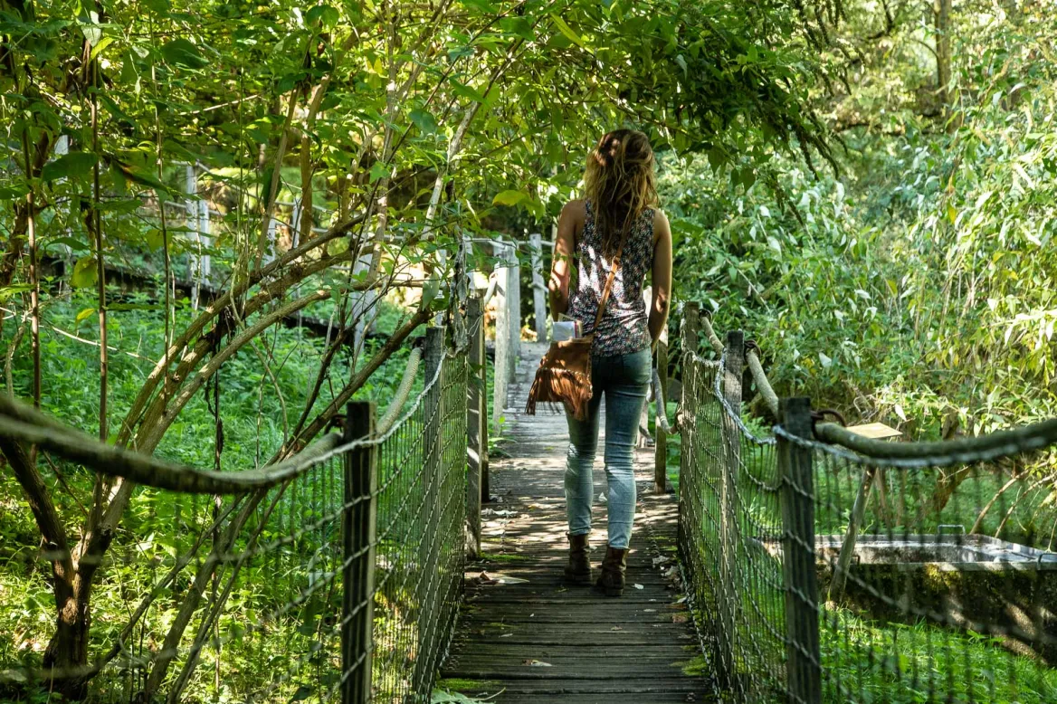 Parc'Ours