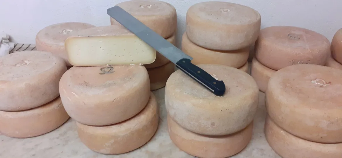 cheese factory