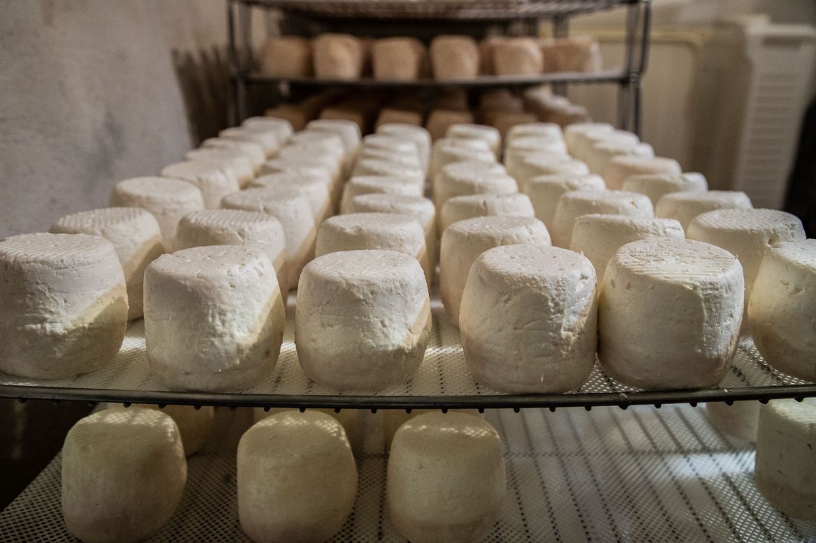 cheese factory