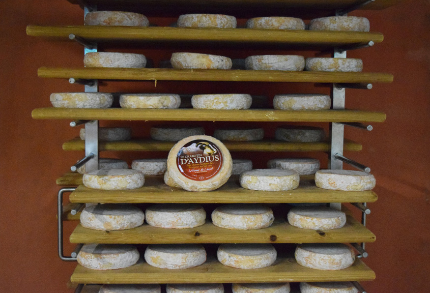 cheese factory