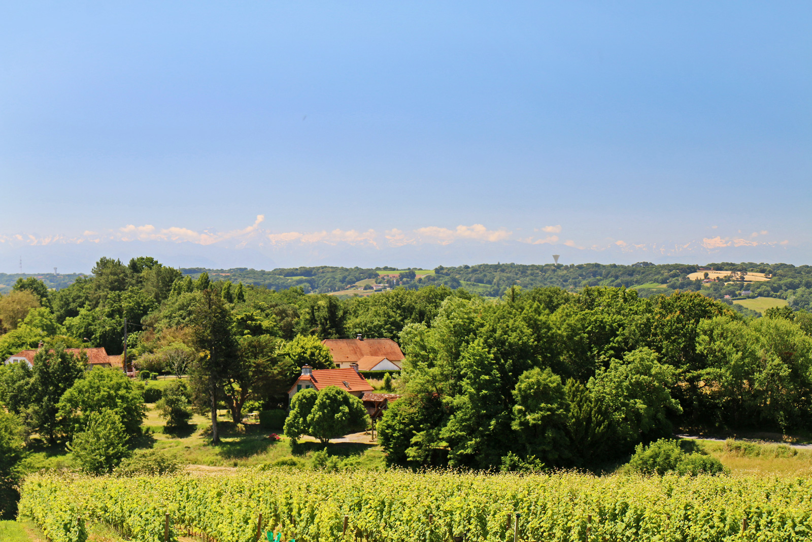 Bearnaise countryside