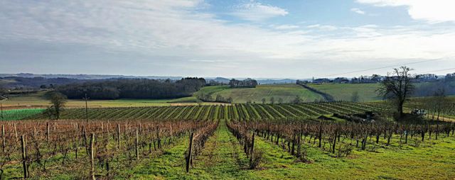 Vignobles du Béarn 