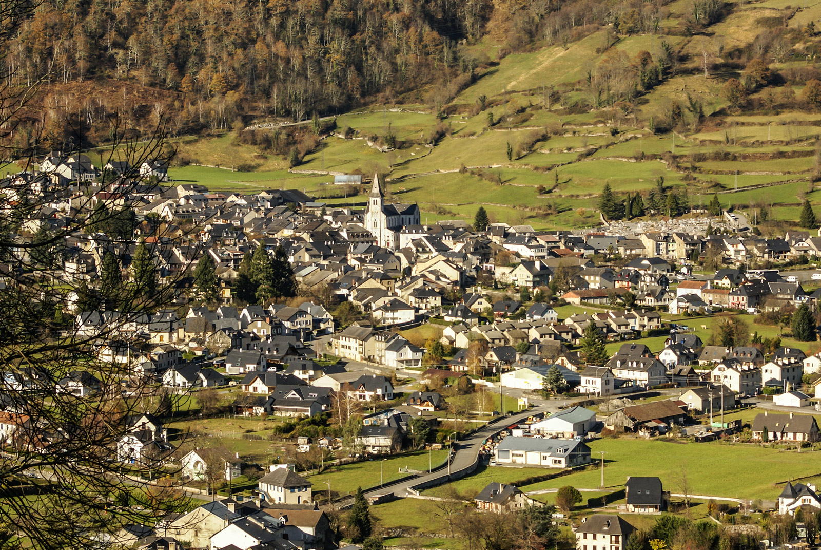 AdobeStock-Lukasz-Janyst--laruns bearn