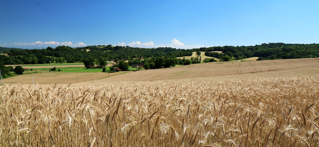 Landscapes of Vic Bilh
