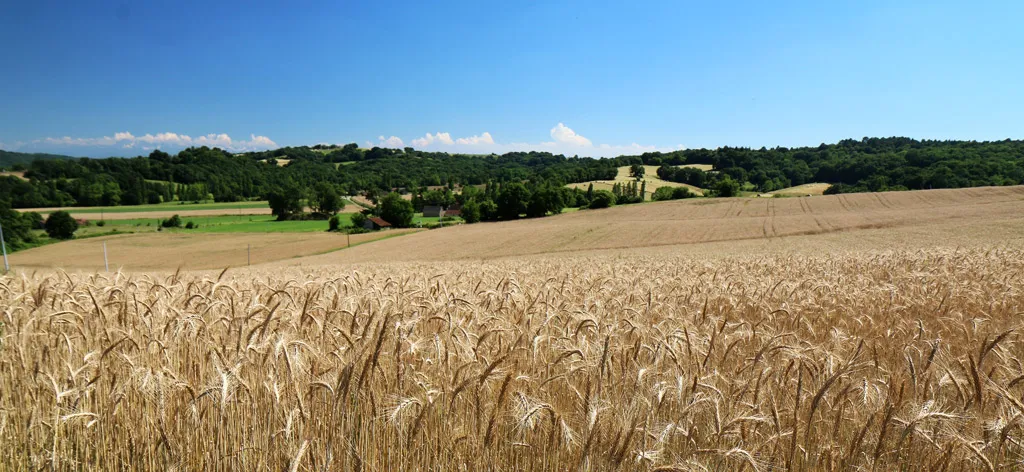 Landscapes of Vic Bilh