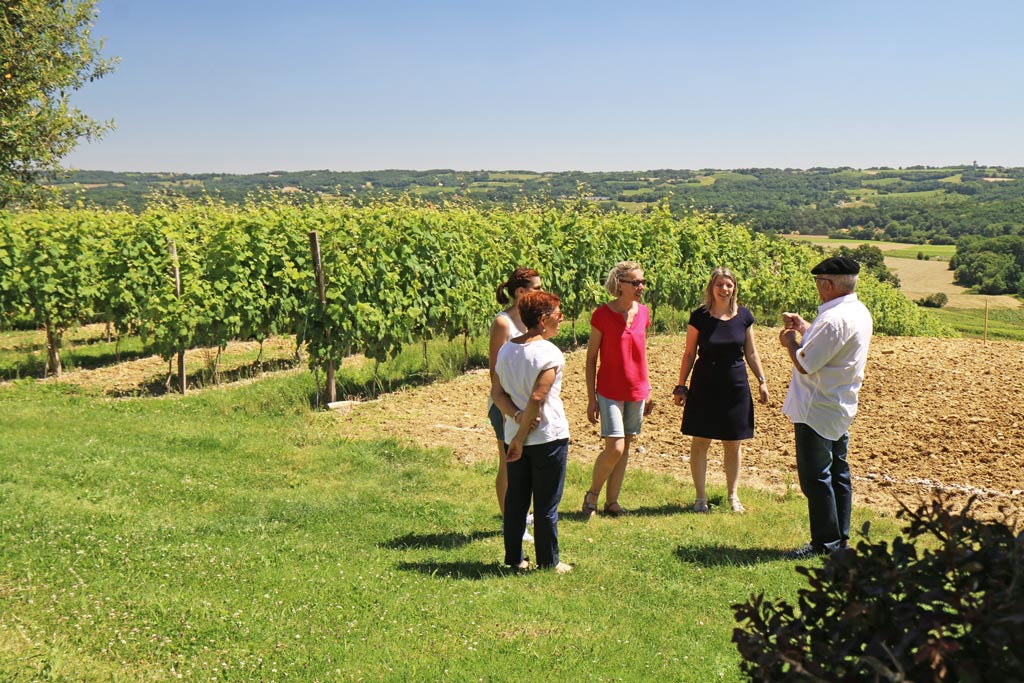Visits to the vineyards